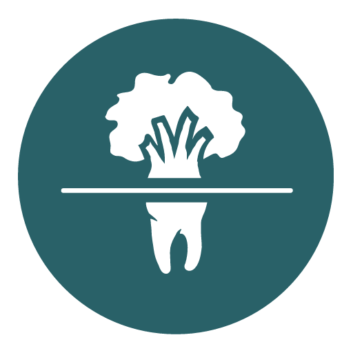 https://www.whiteoakdentalbham.com/wp-content/uploads/2023/07/White-Oak-Circle-Logo.png